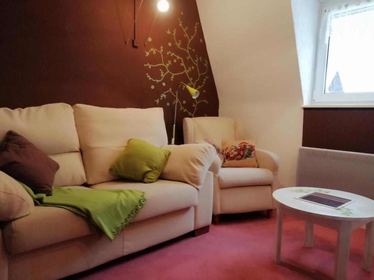 Les Locations De Stephanie Les Hautes Vosges Sondernach 외부 사진