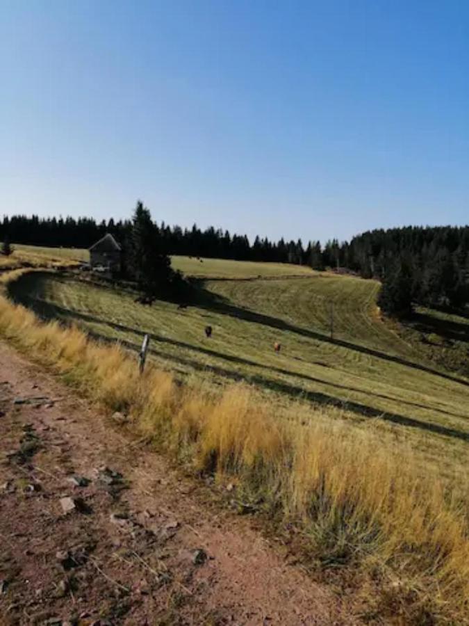 Les Locations De Stephanie Les Hautes Vosges Sondernach 외부 사진