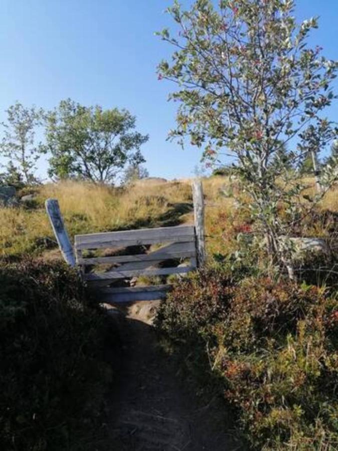 Les Locations De Stephanie Les Hautes Vosges Sondernach 외부 사진