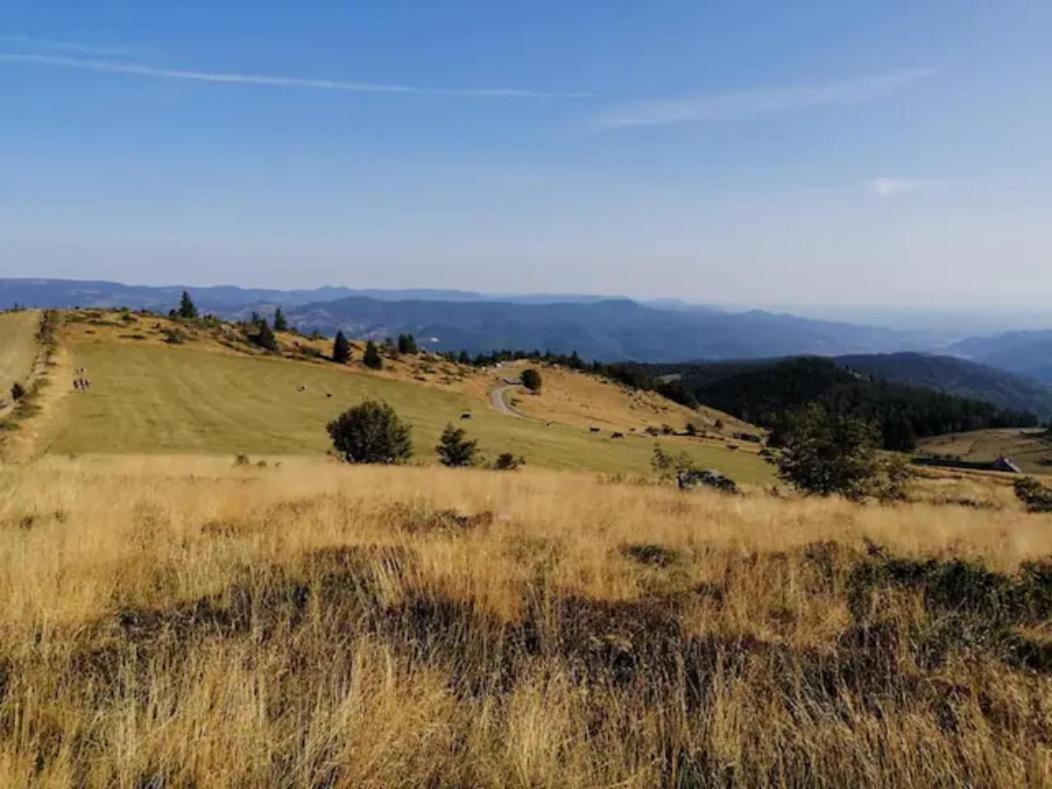 Les Locations De Stephanie Les Hautes Vosges Sondernach 외부 사진