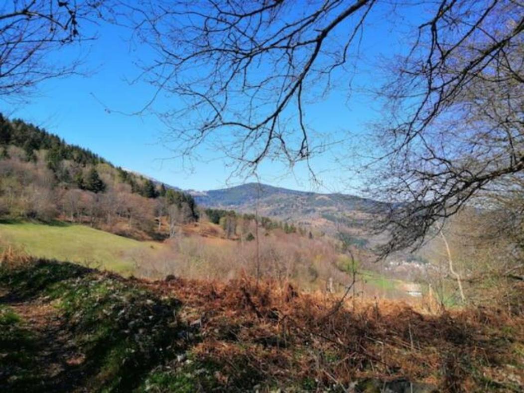 Les Locations De Stephanie Les Hautes Vosges Sondernach 외부 사진
